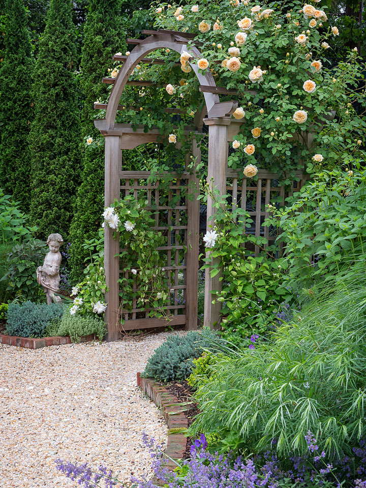 A timber arbour covered in apricot climbing roses over a gravel path edged in brick